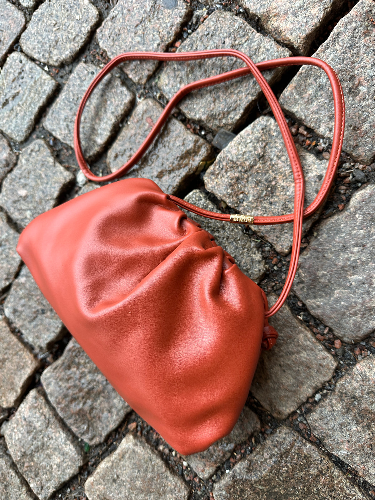 Dumpling Bag Brick Red