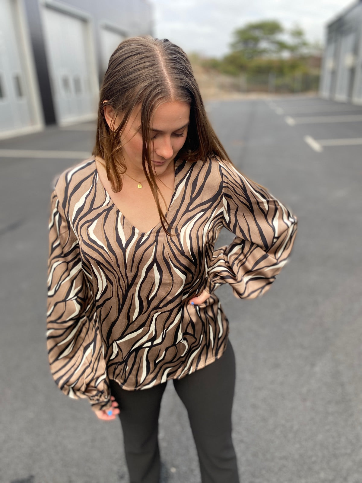Objpapaya Long Sleeve V Neck Regular Blouse Fossil Zebra