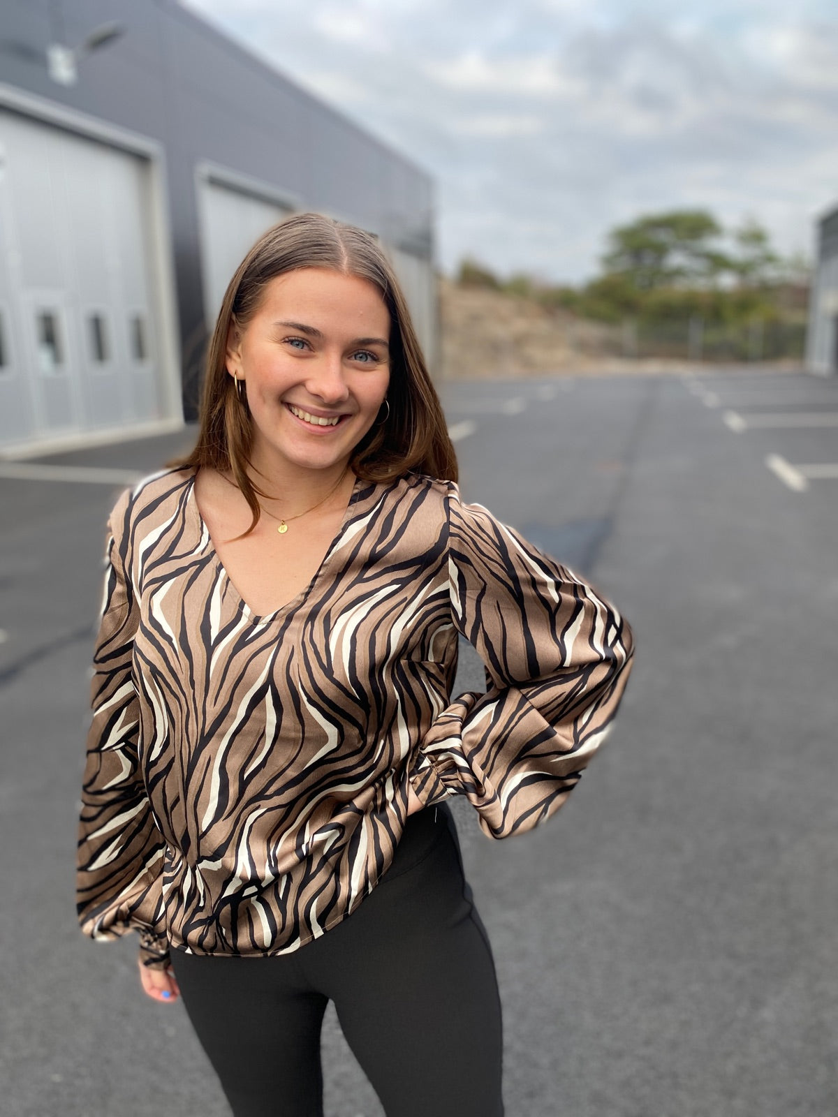 Objpapaya Long Sleeve V Neck Regular Blouse Fossil Zebra